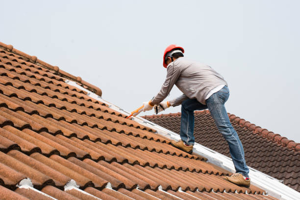 Best Roof Leak Repair  in Lake Nacimiento, CA